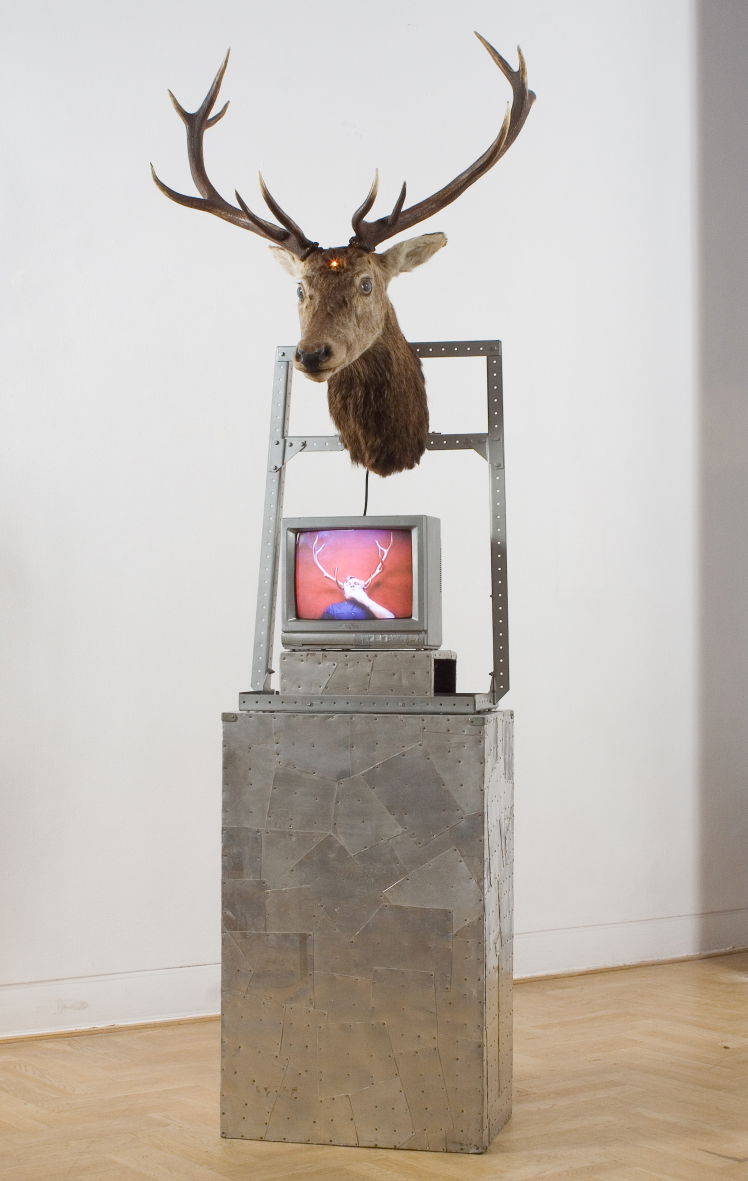 Zachęta National Gallery of Art