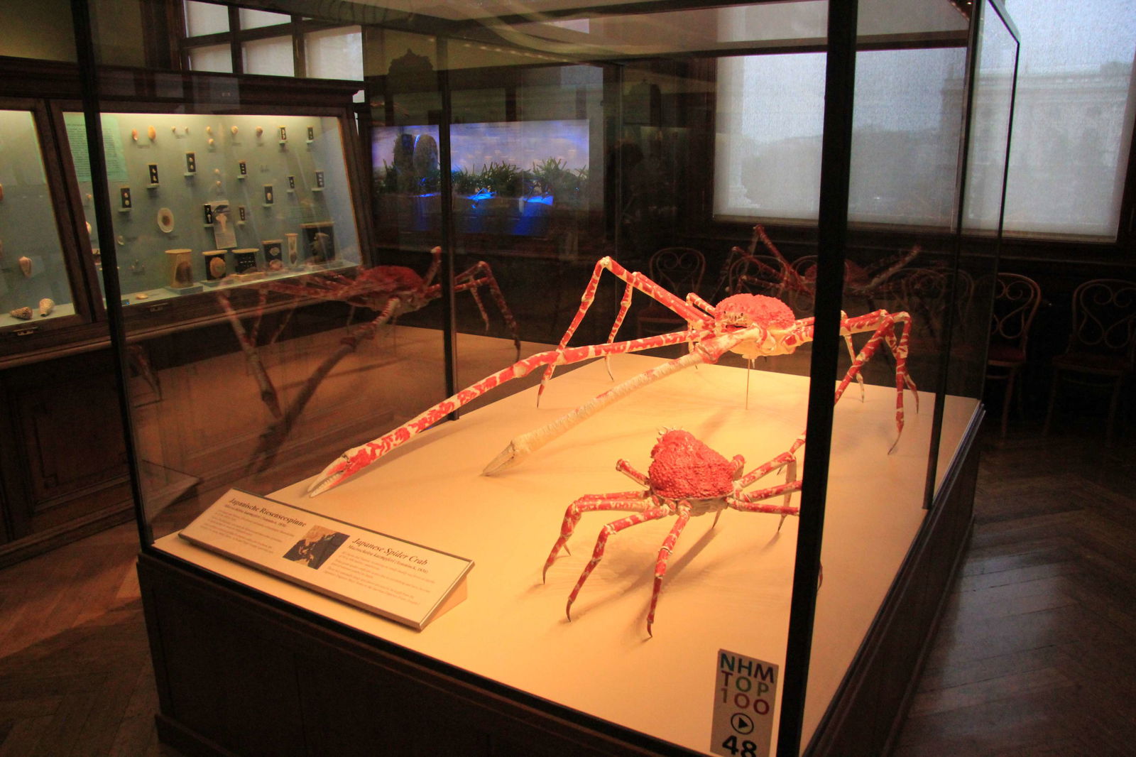 Naturhistorisches Museum