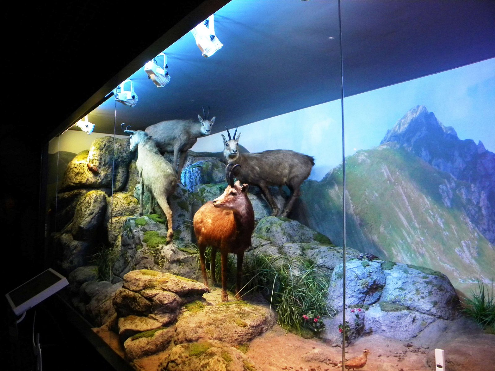 Grigore Antipa National Museum of Natural History