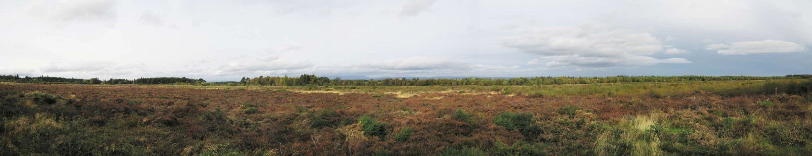 Culloden Battlefield and Visitor Centre
