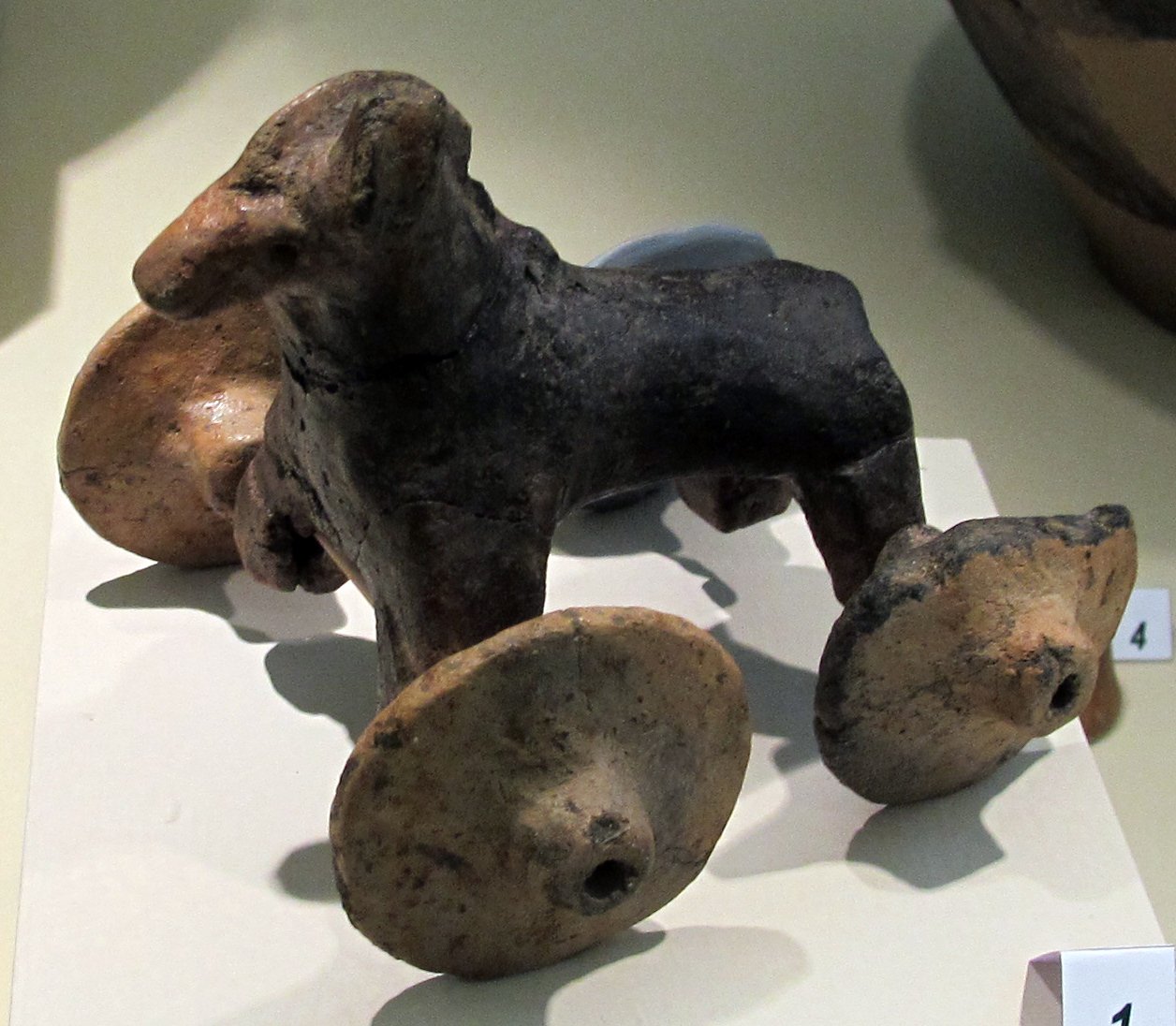 Museo Civico Archeologico