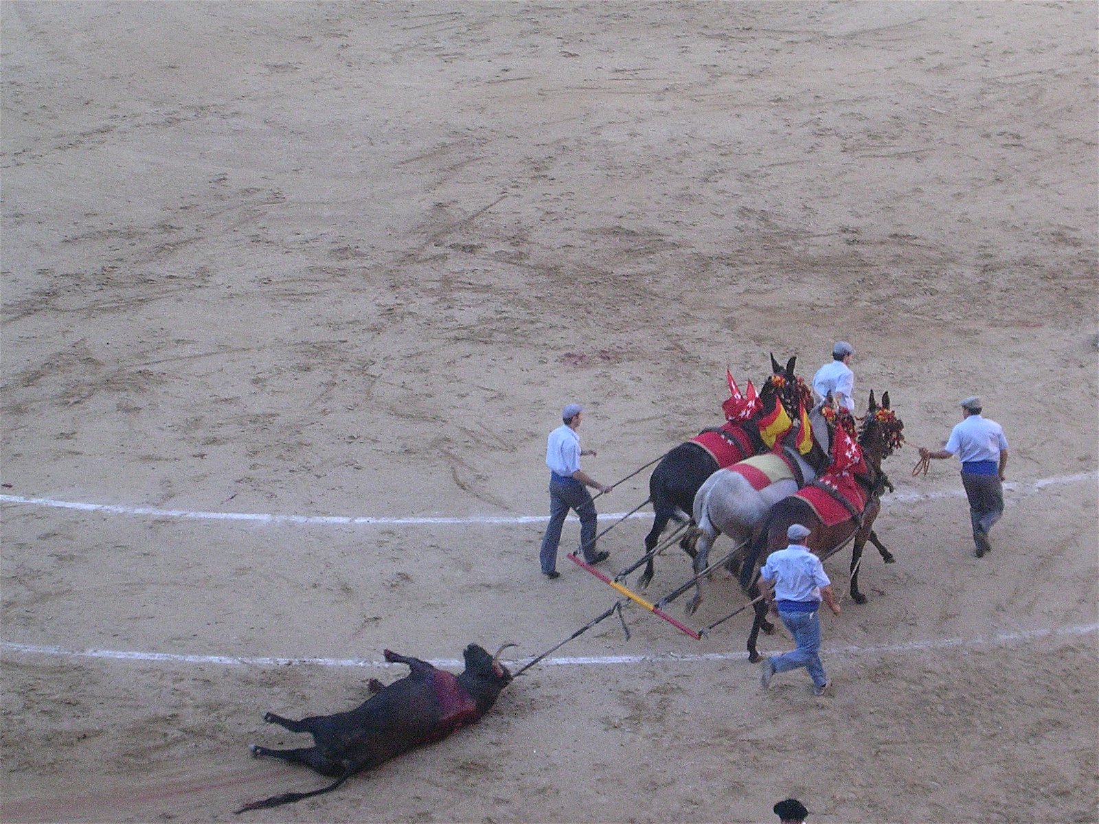 Plaza Monumental de Toros de las Ventas