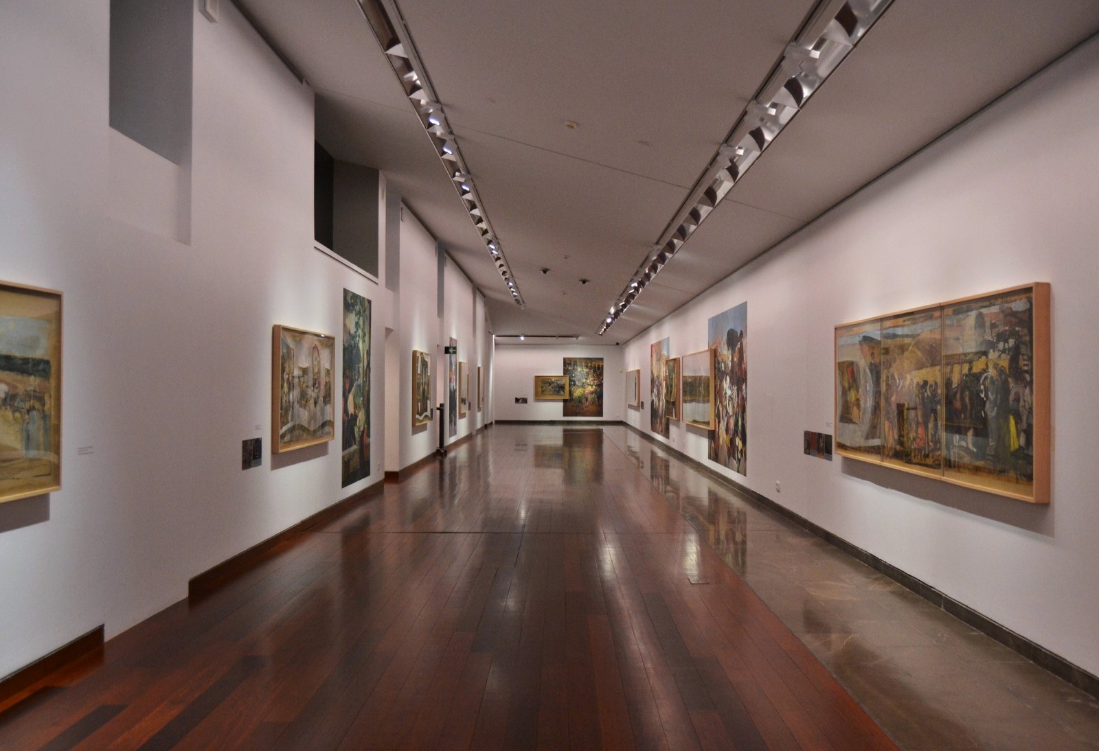 Museo de Bellas Artes Gravina - MUBAG