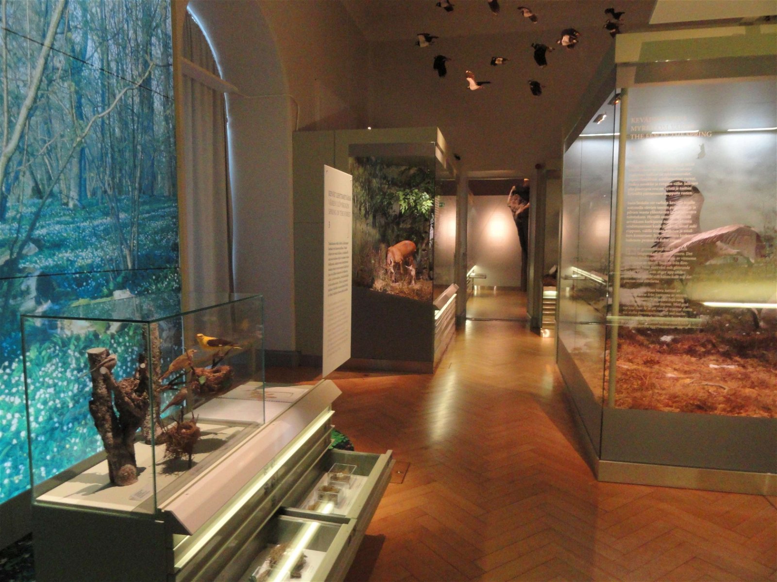 Finnish Museum of Natural History