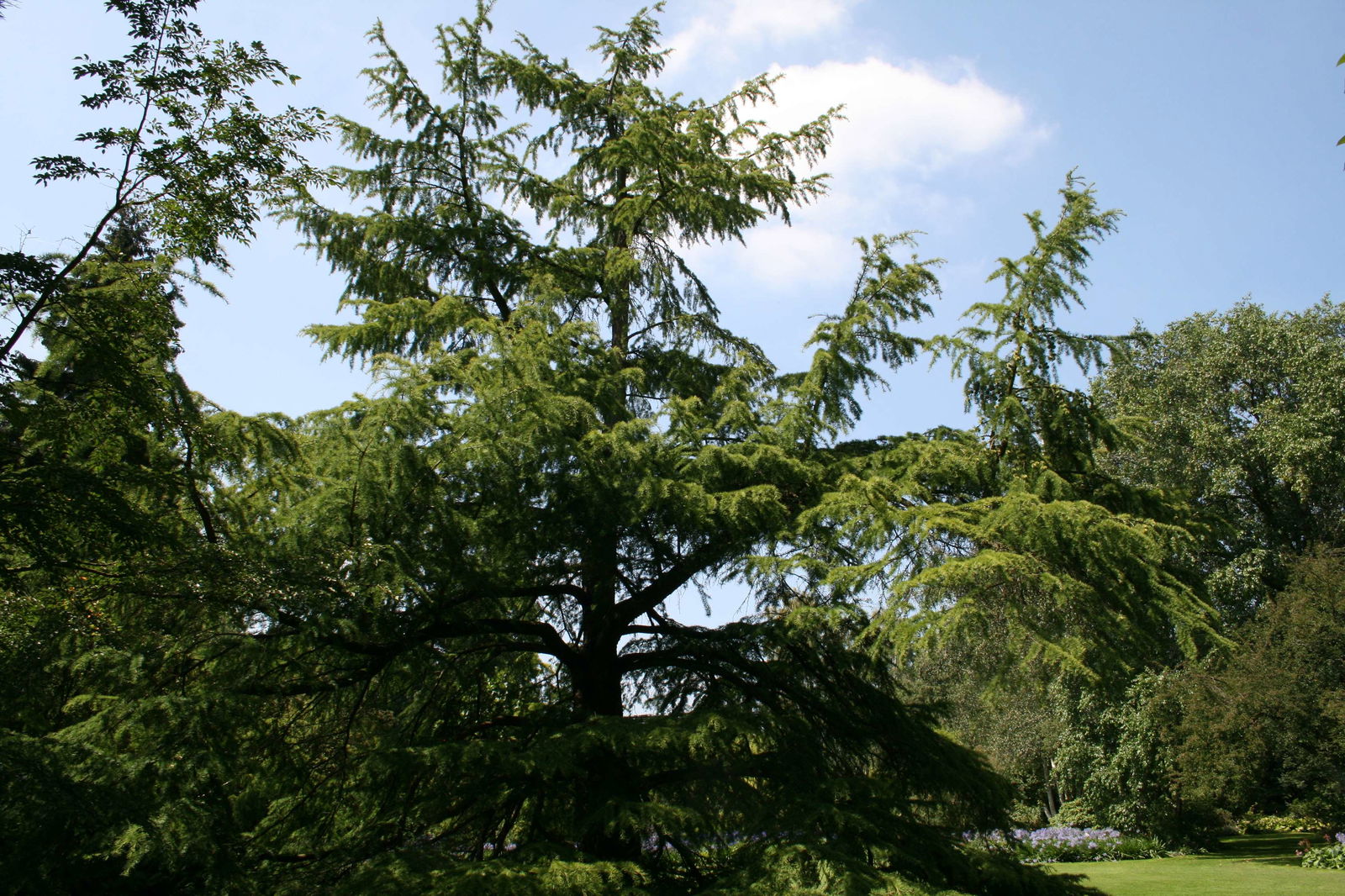 Arboretum de Kalmthout