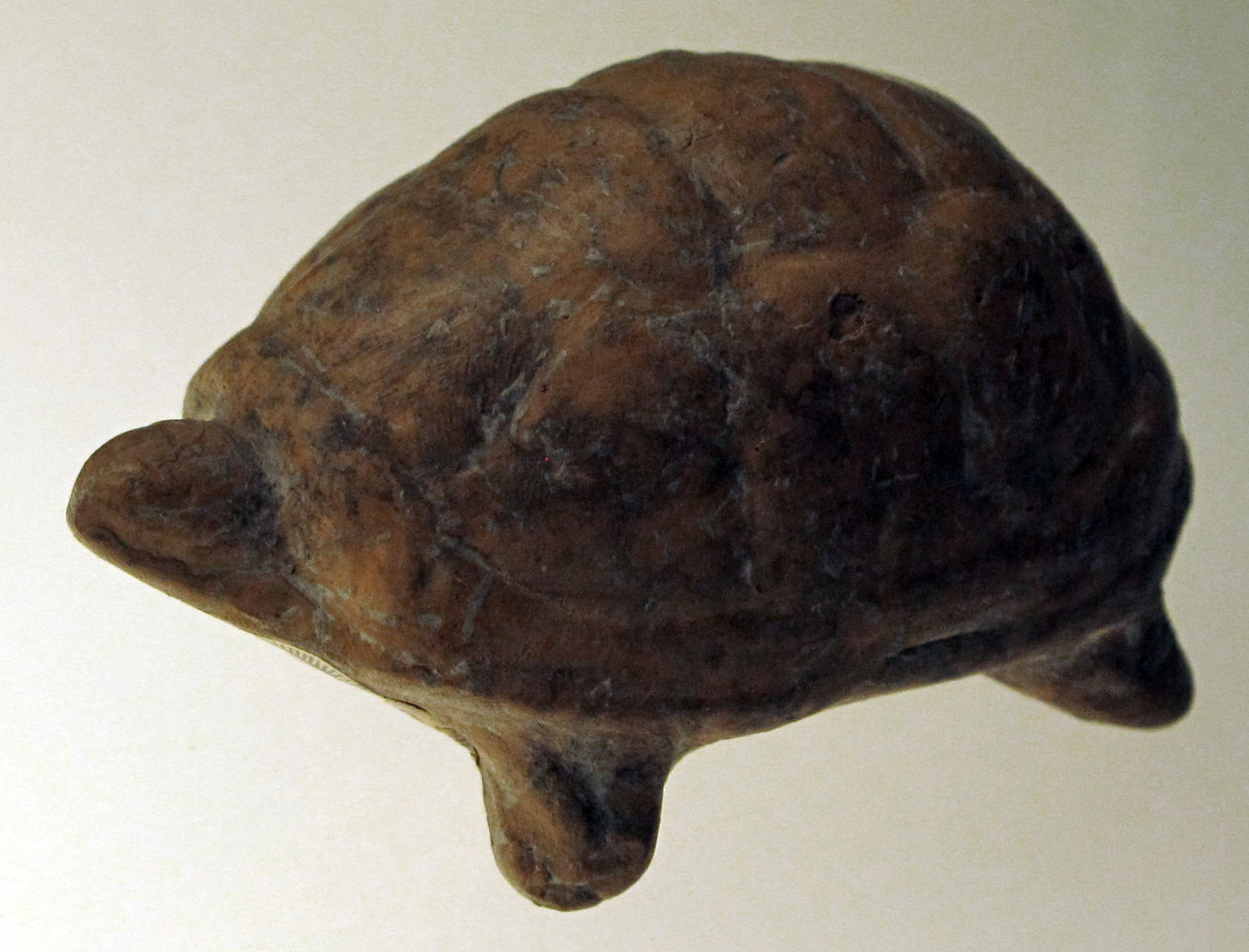 Museo Archeologico Nazionale