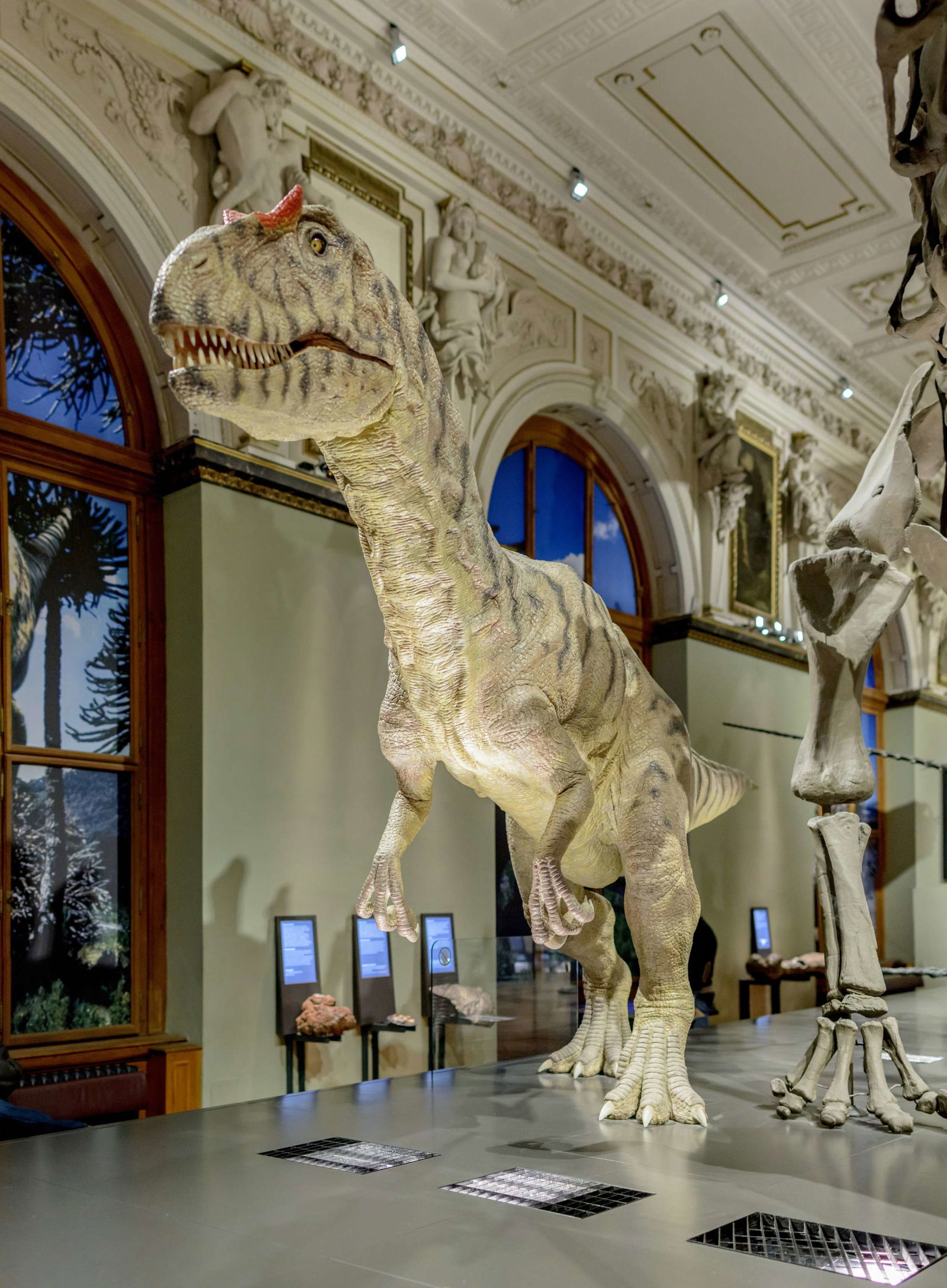 Naturhistorisches Museum