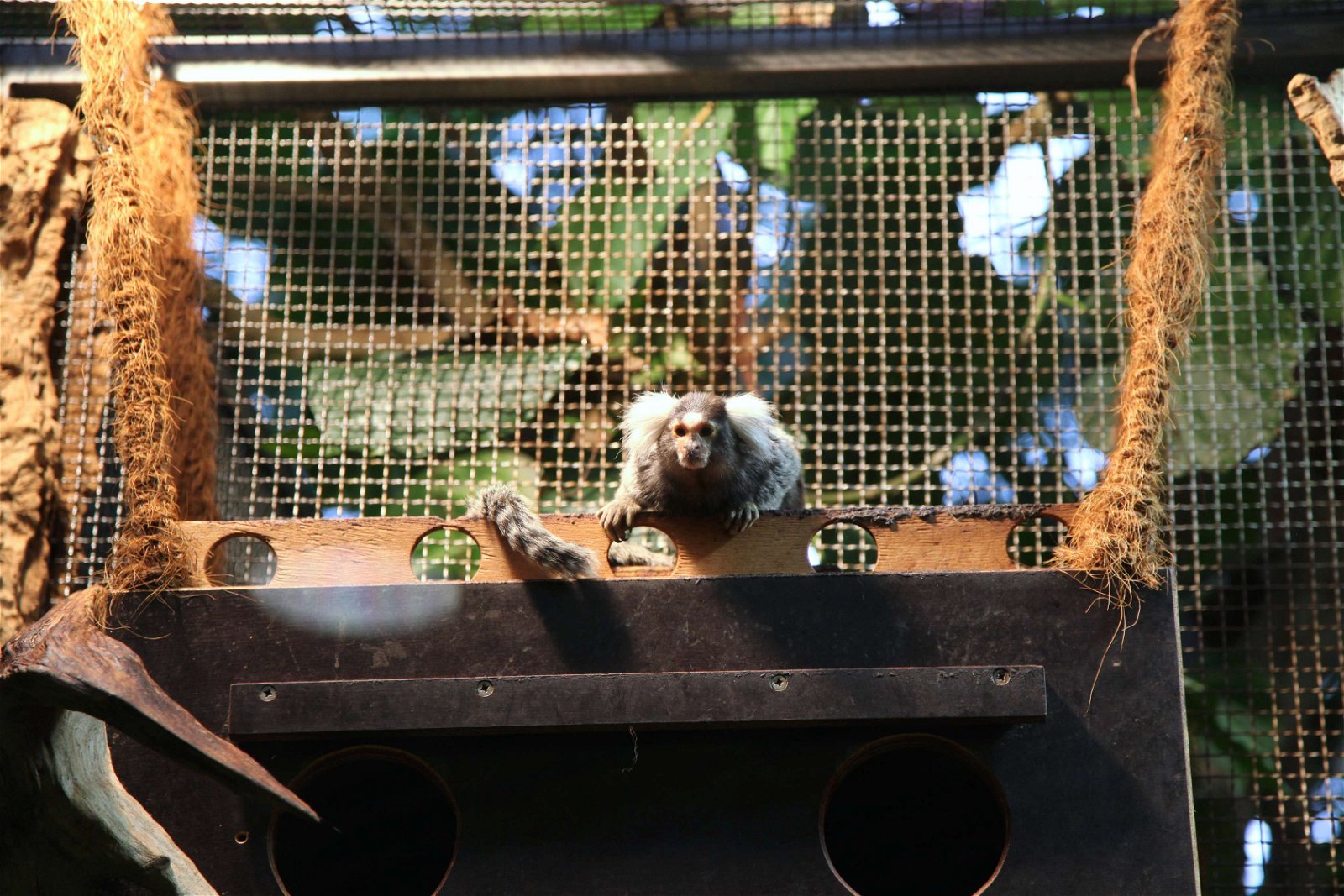 Aquazoo – Löbbecke-Museum Düsseldorf