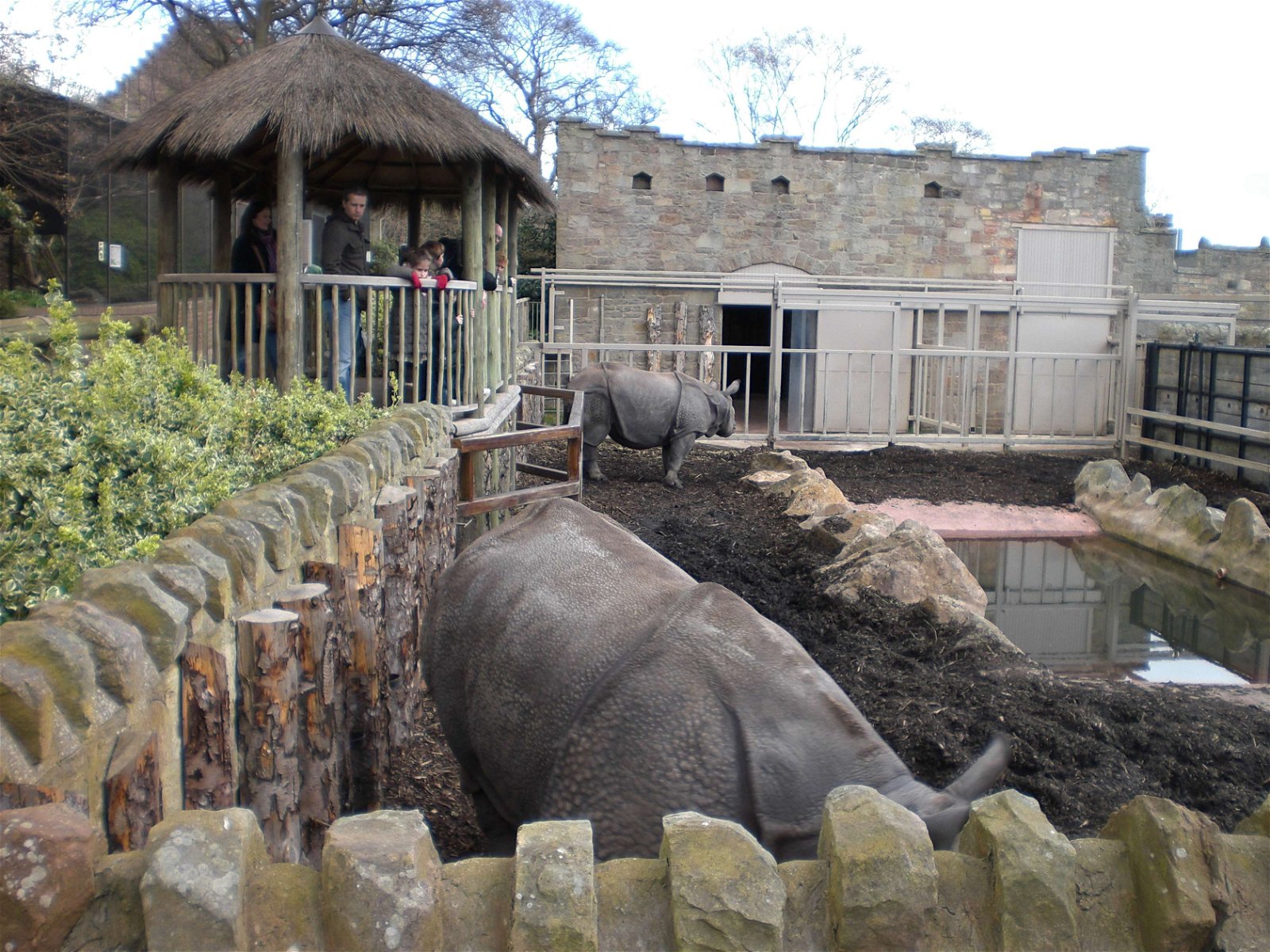 Edinburgh Zoo (Edinburgh) Visitor Information & Reviews