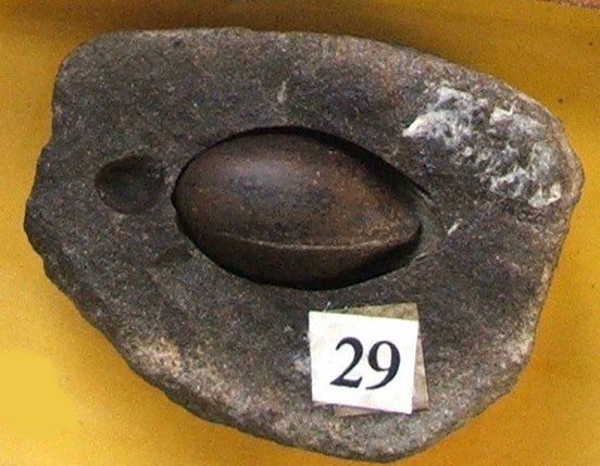 Sedgwick Museum of Earth Sciences