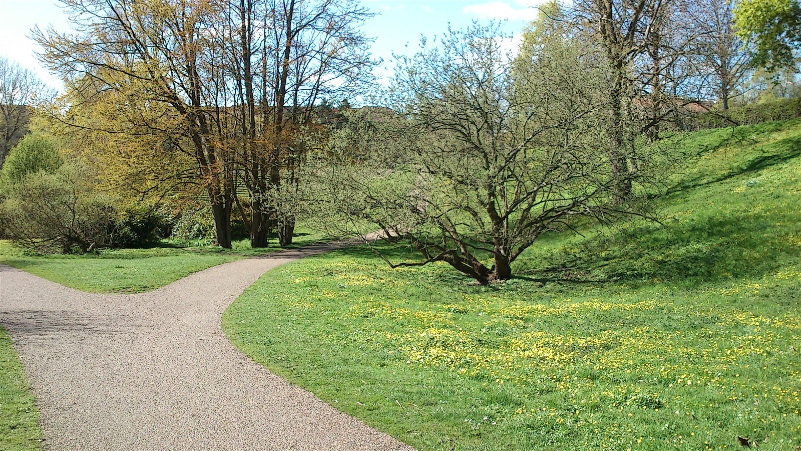 Aarhus Botanical Gardens