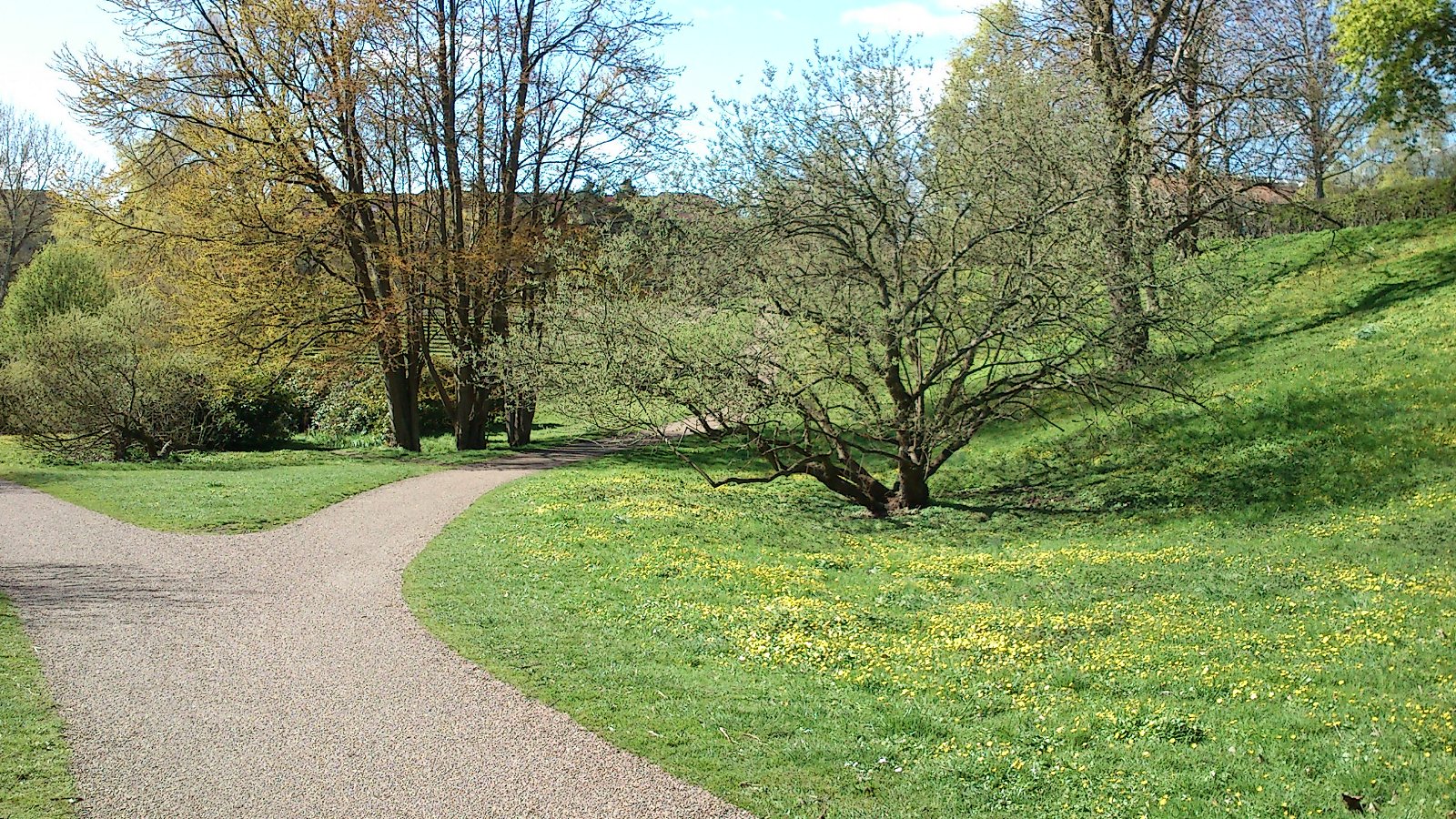 Aarhus Botanical Gardens
