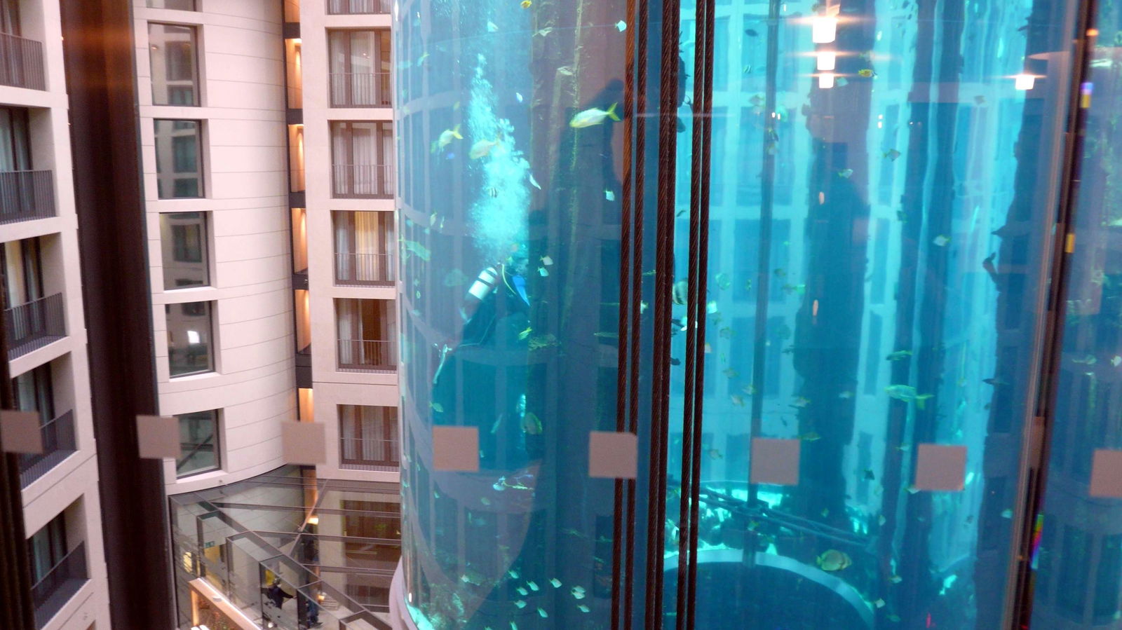 AquaDom & SEA LIFE Berlin
