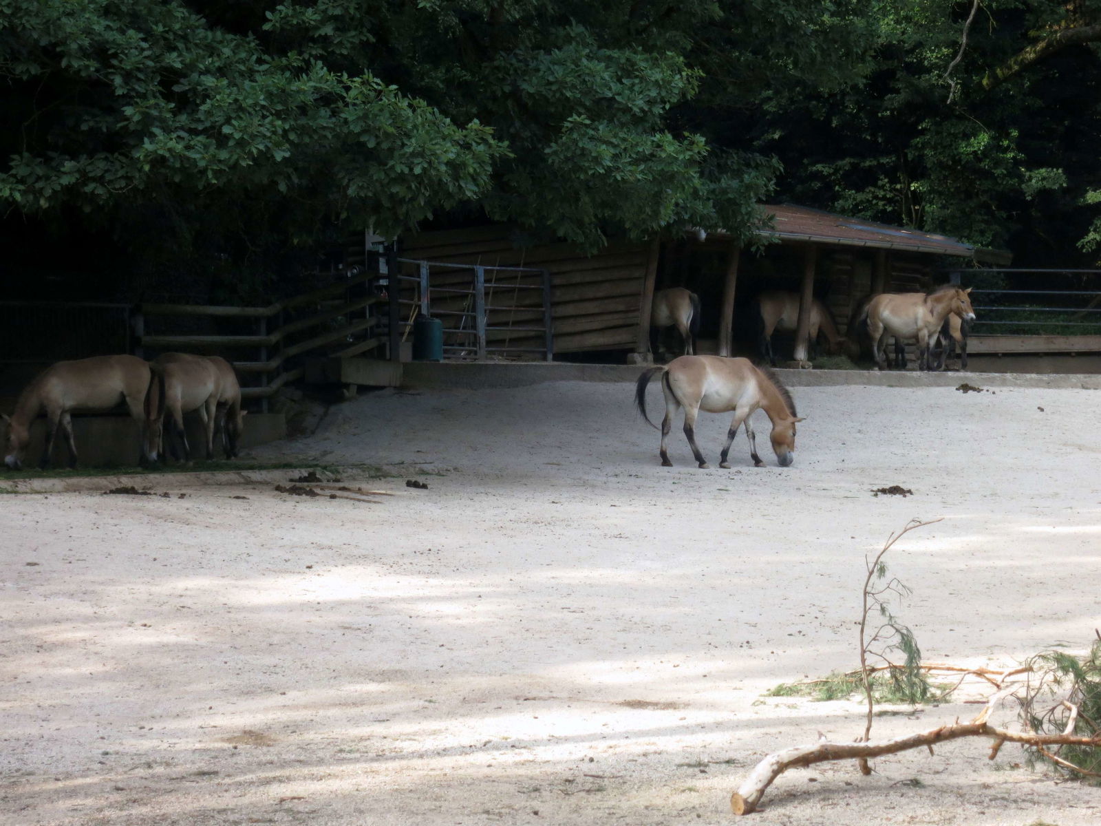 Tiergarten Nürnberg
