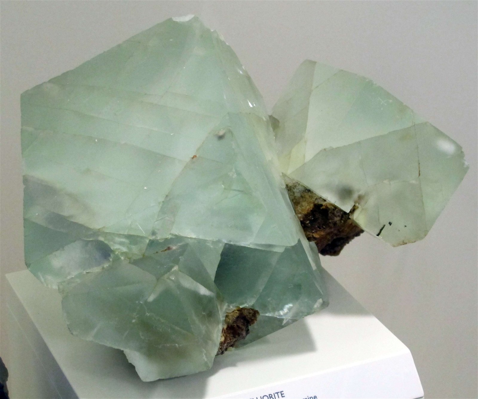 University of Florence Natural History Museum - Geology and Paleontology