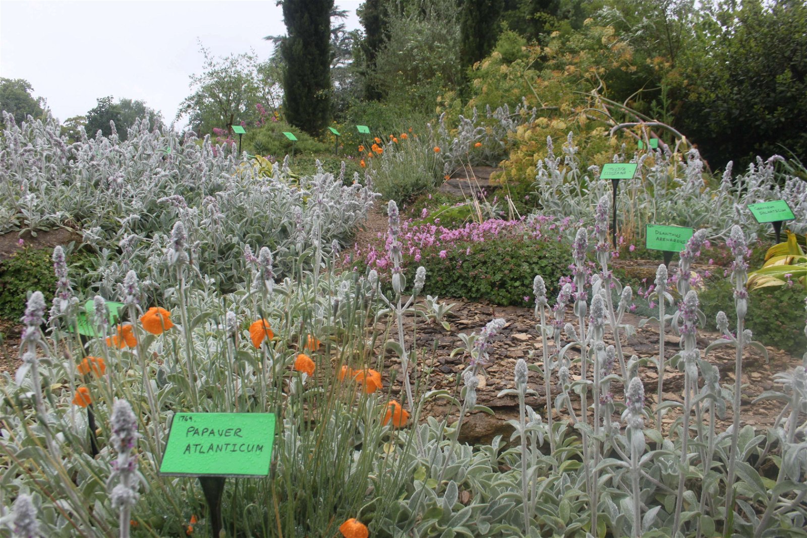 University of Bristol Botanic Garden
