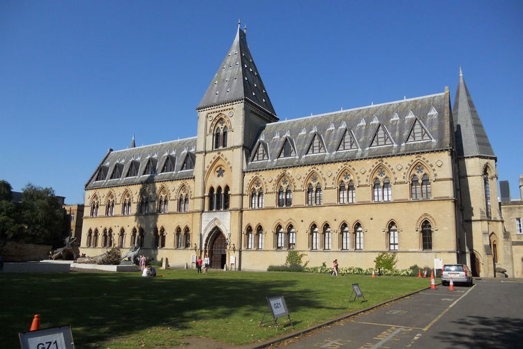 Musée d'histoire naturelle de l'université d'Oxford