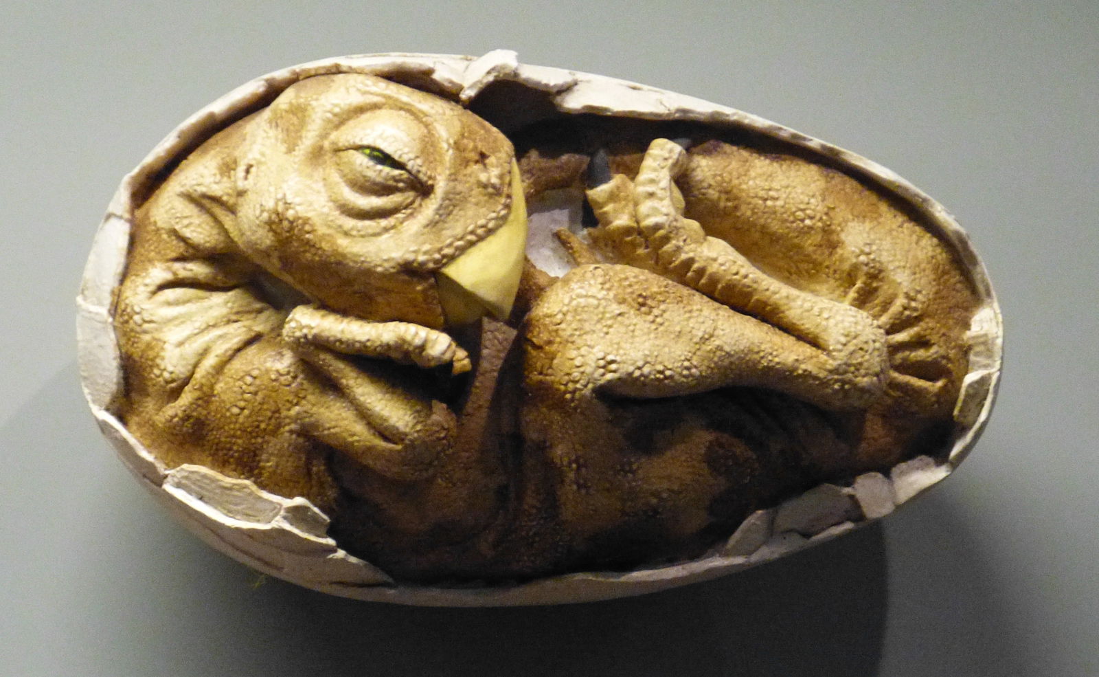 Naturhistorisches Museum