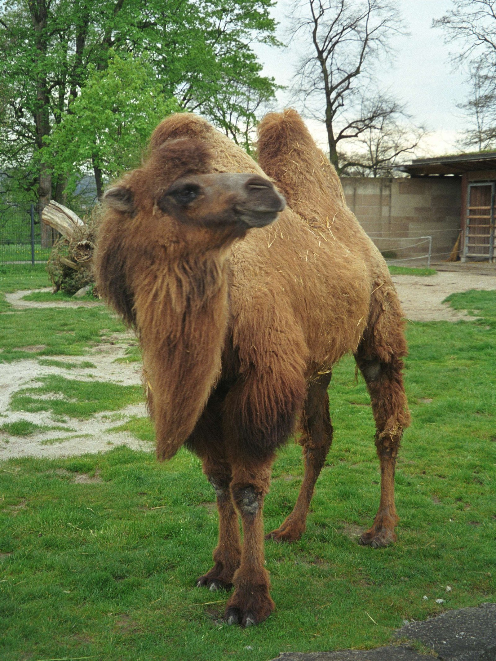 Wilhelma Zoo and Botanical Garden