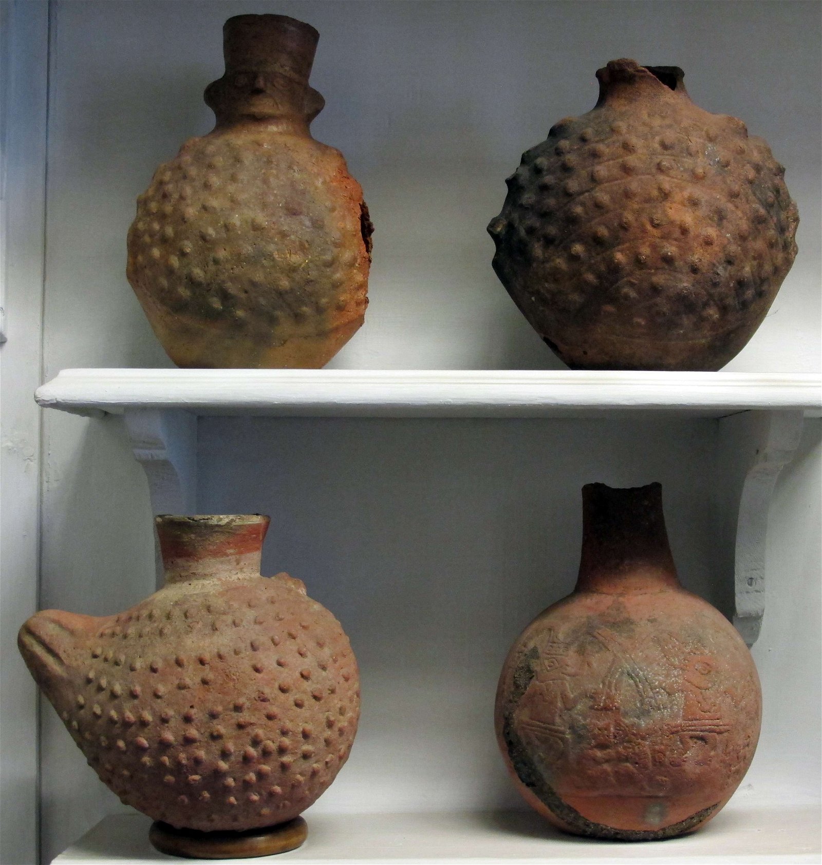 Museum of Anthropology and Ethnology