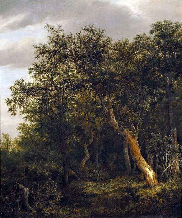Gemäldegalerie der Akademie der bildenden Künste