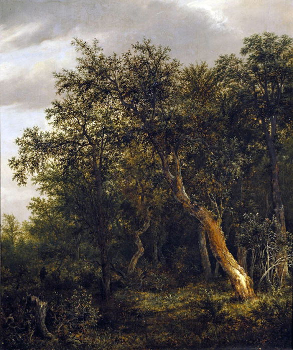 Gemäldegalerie der Akademie der bildenden Künste