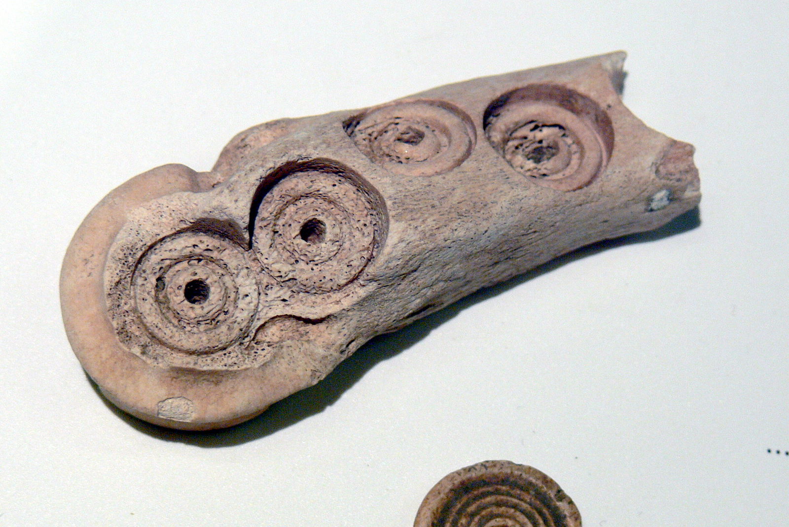 Römermuseum Wien - Wien Museum