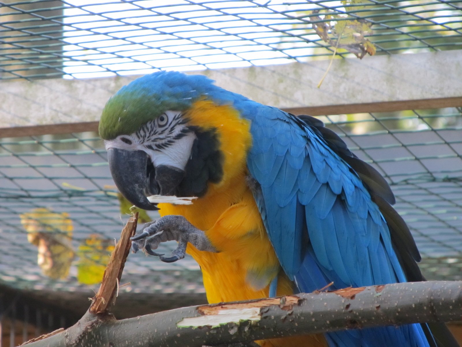 Familiepark Harry Malter