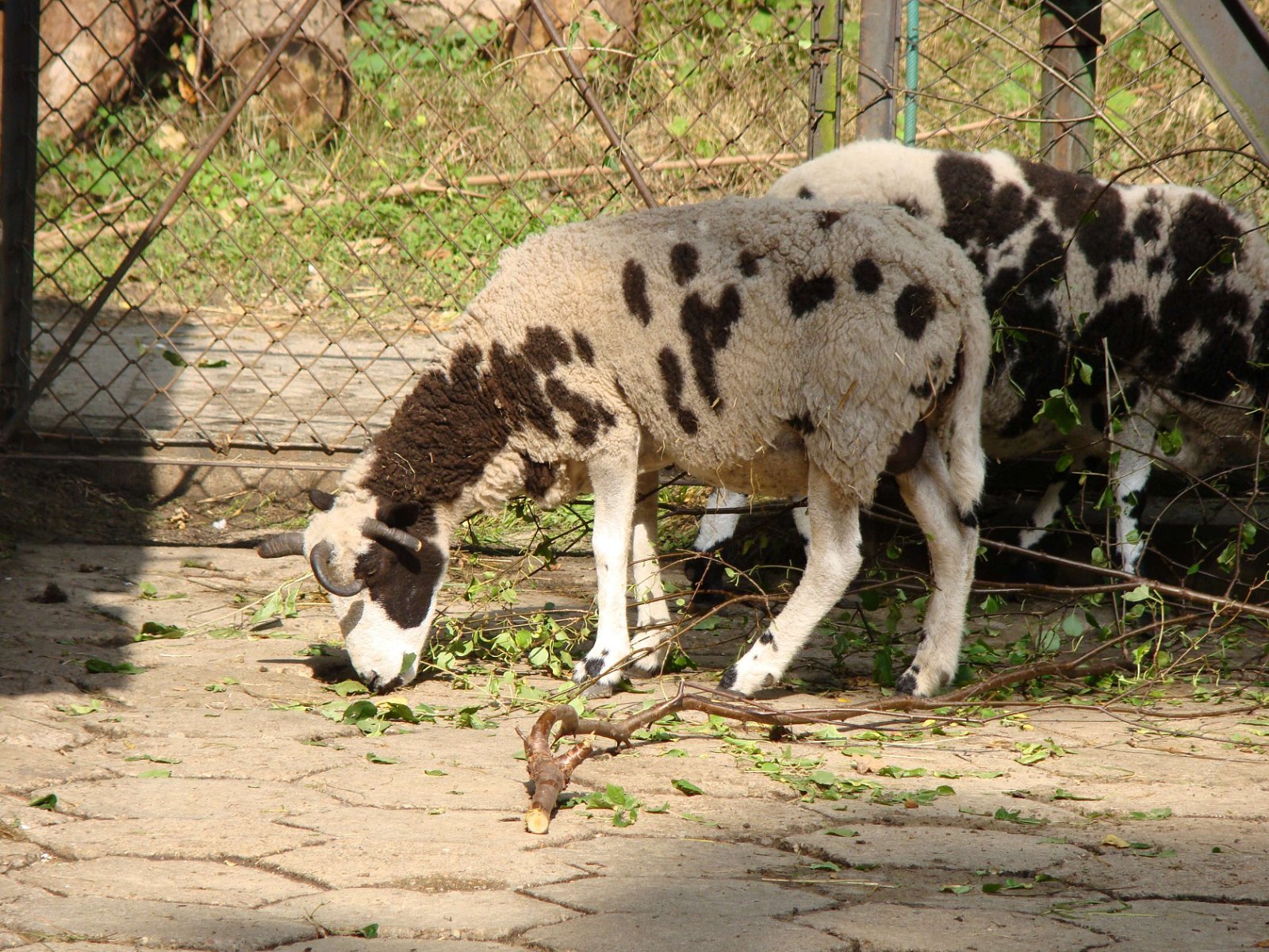 Lodz Zoo