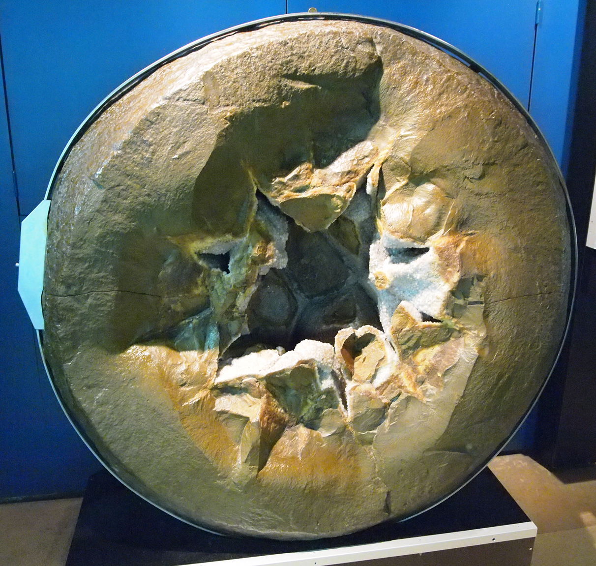 Museum Mensch und Natur