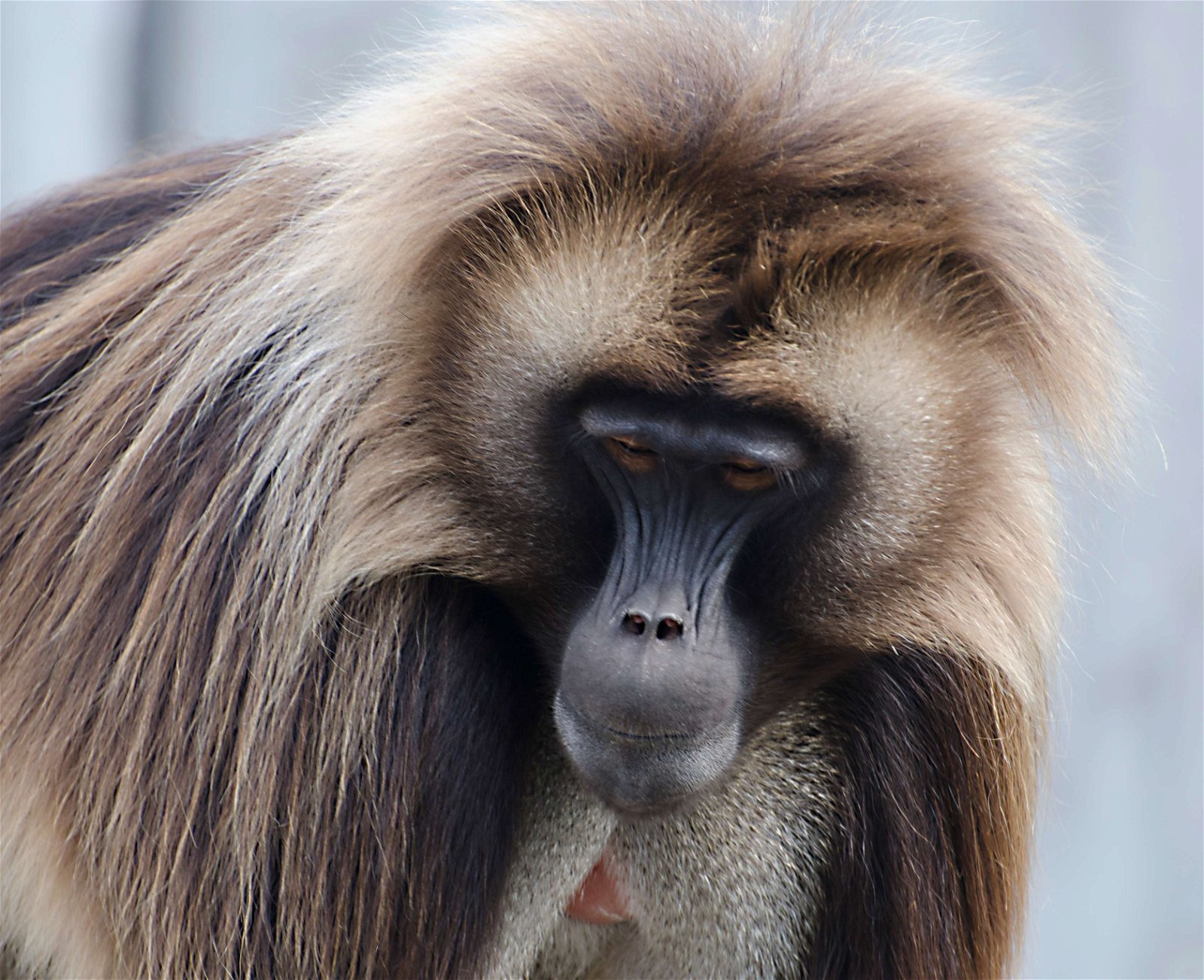 Wilhelma Zoo and Botanical Garden