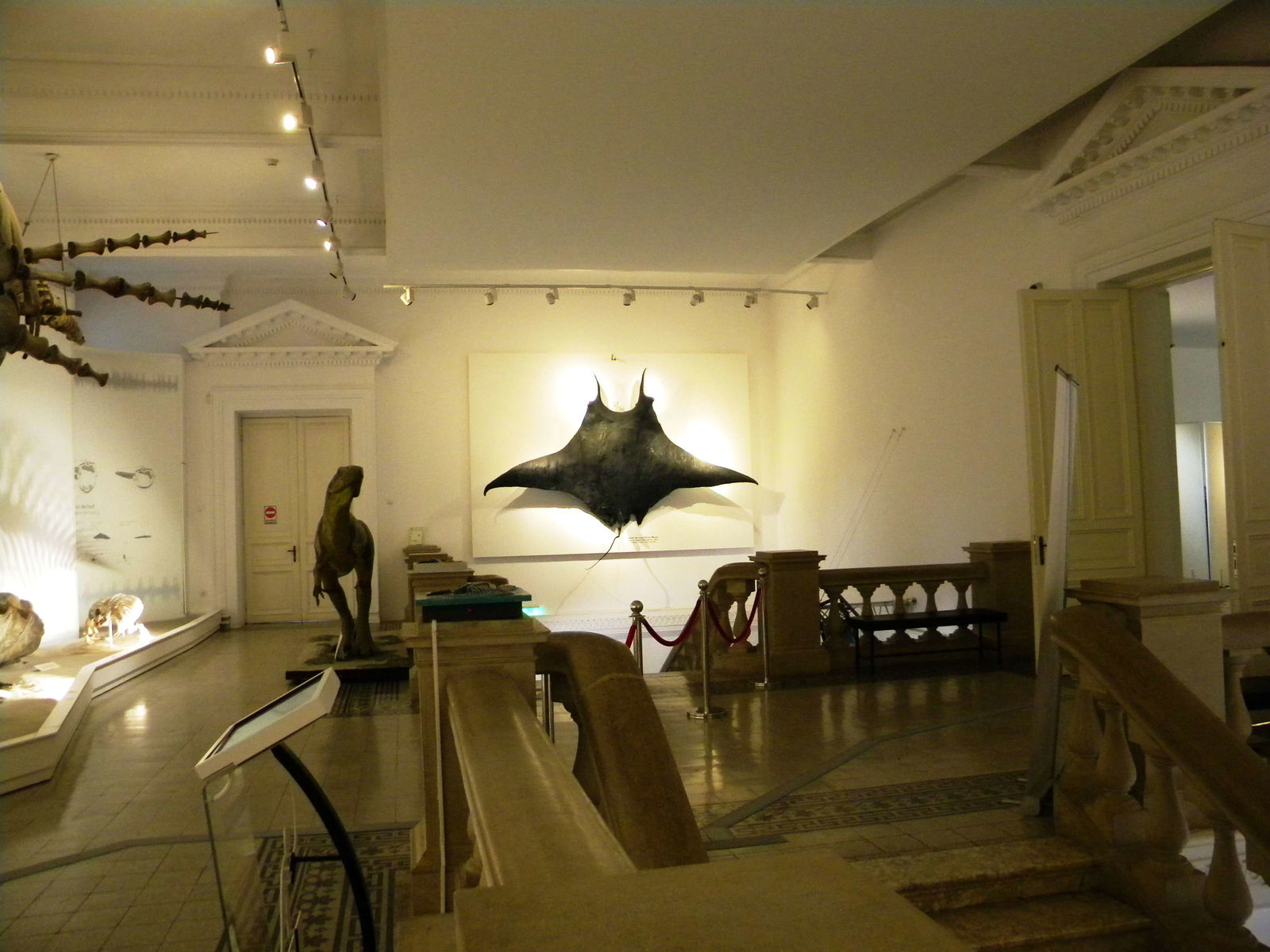 Grigore Antipa National Museum of Natural History