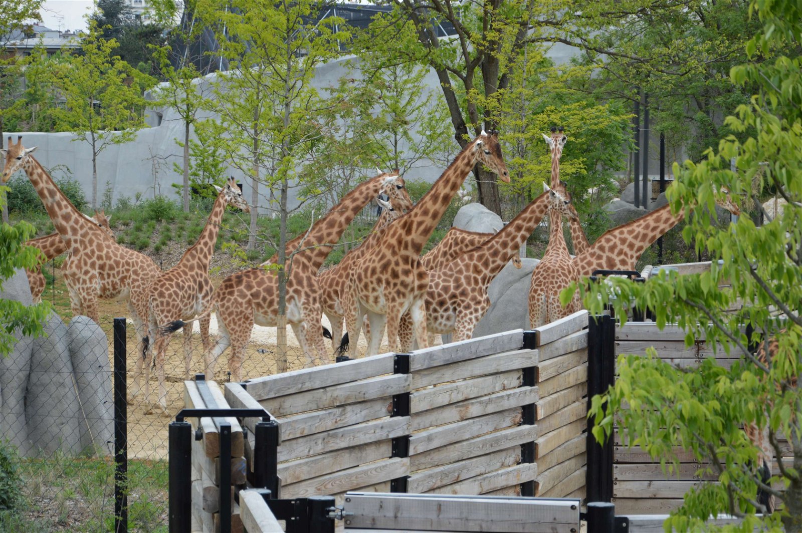 Parc zoologique de Paris