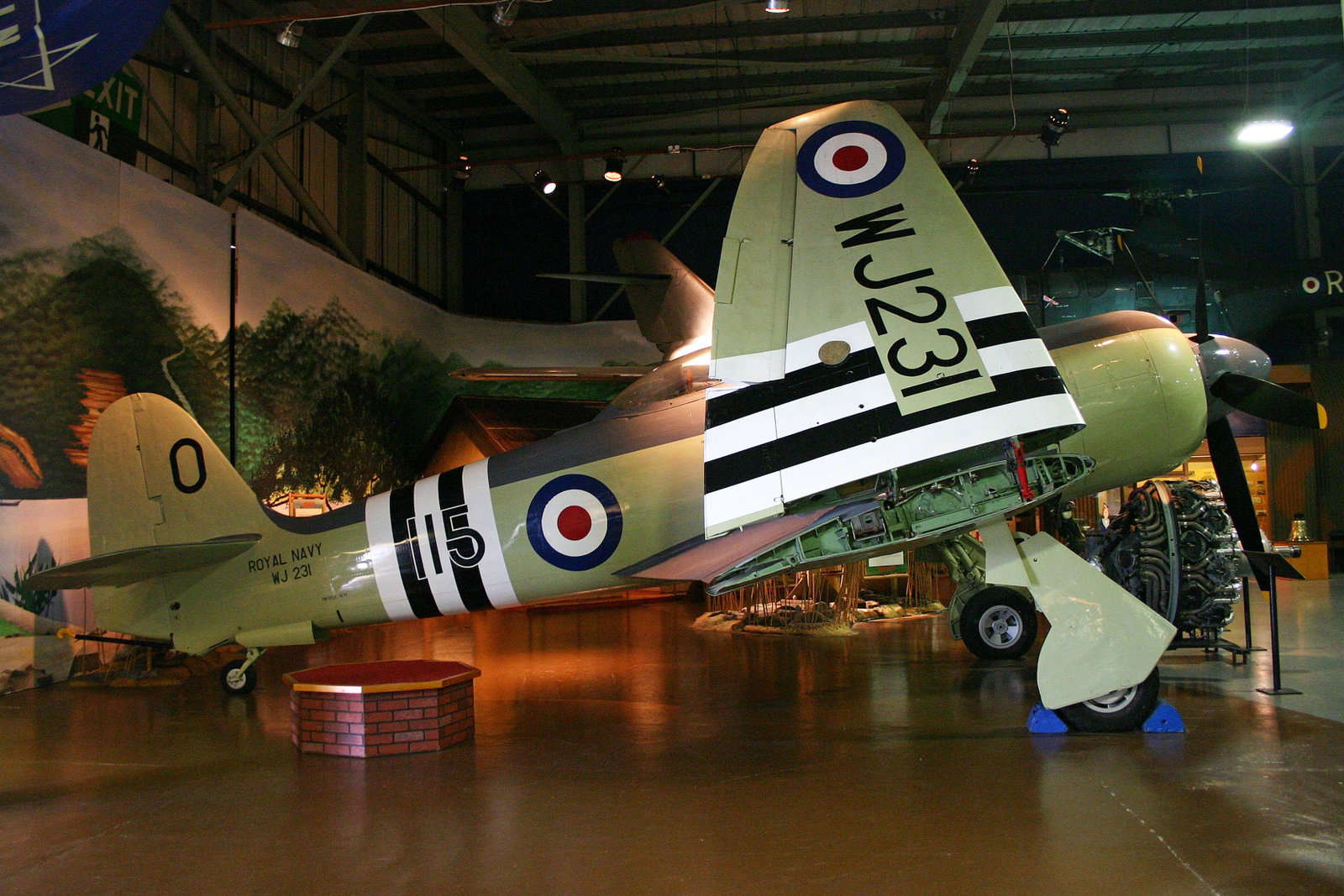 Royal Navy Museums: Naval Aviation
