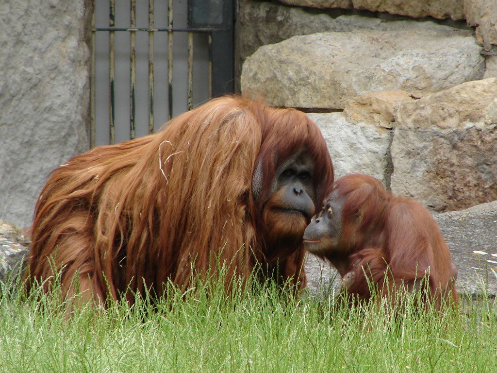 Zoologischer Garten Berlin