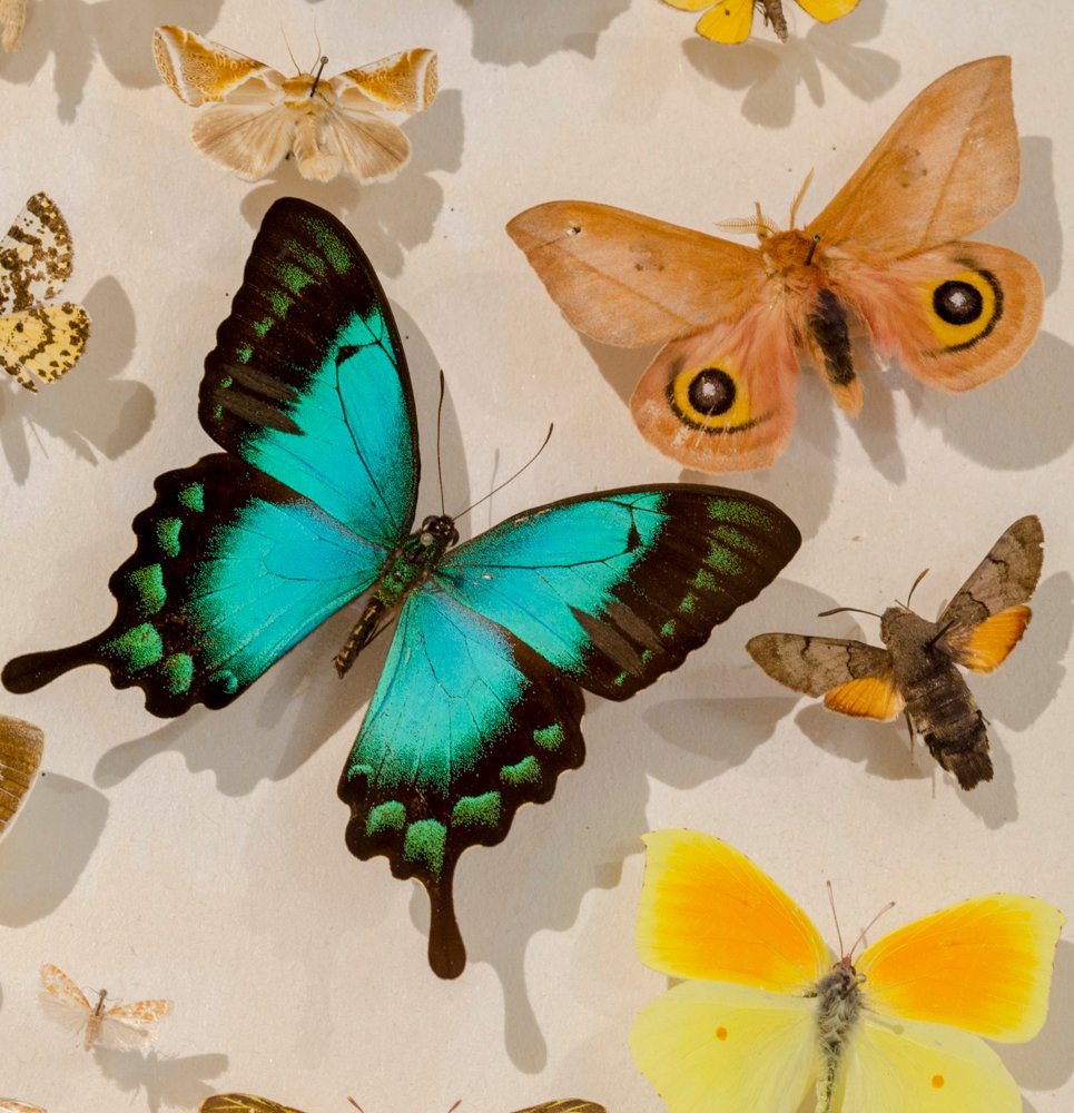 La Casa de la Ciencia - Science Museum