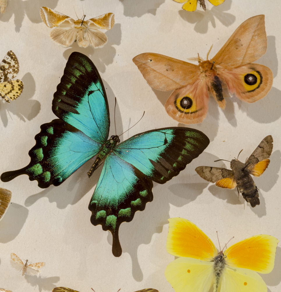 Museo La Casa de la Ciencia