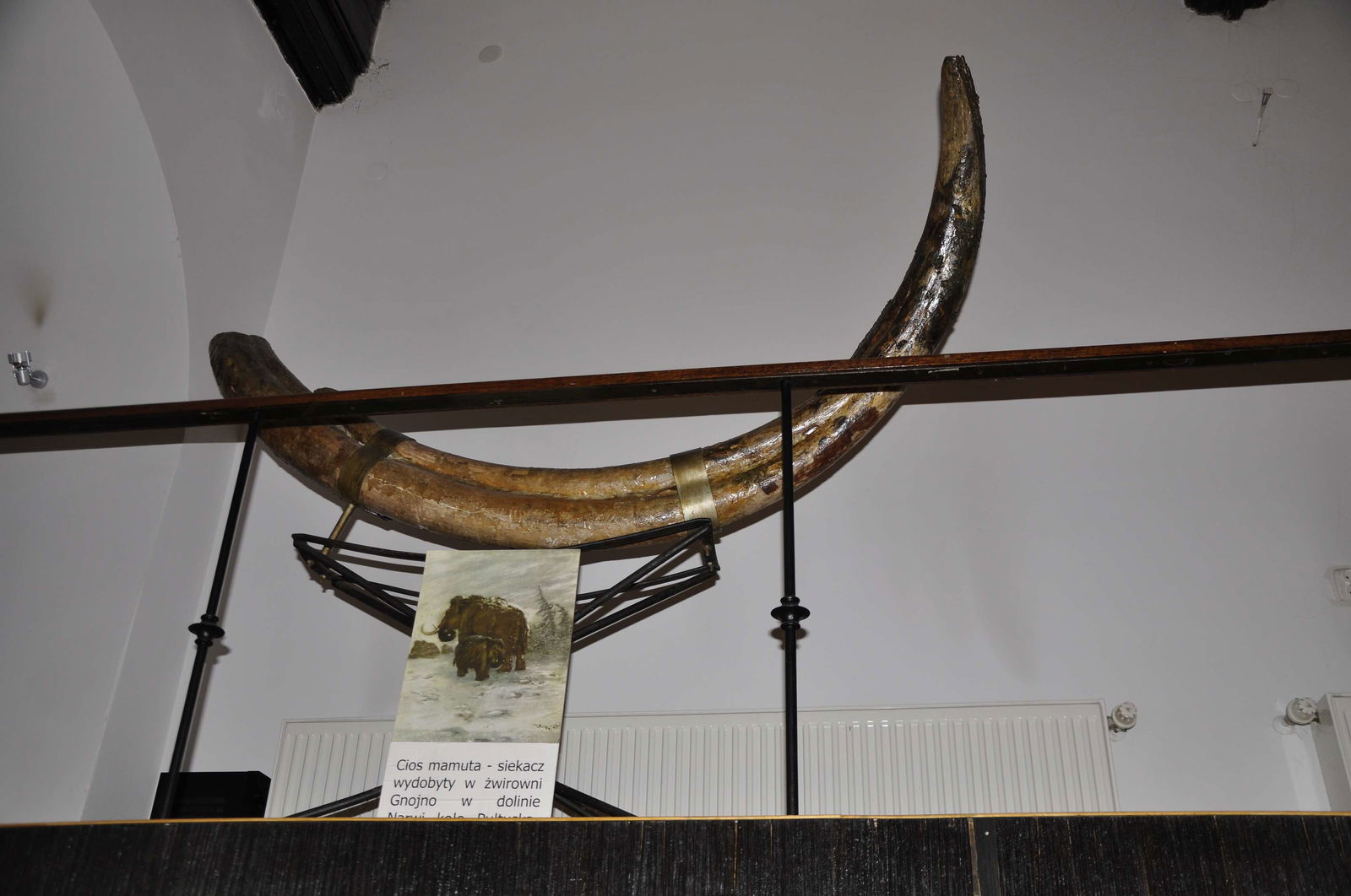 Earth Museum - Polish Academy of Sciences