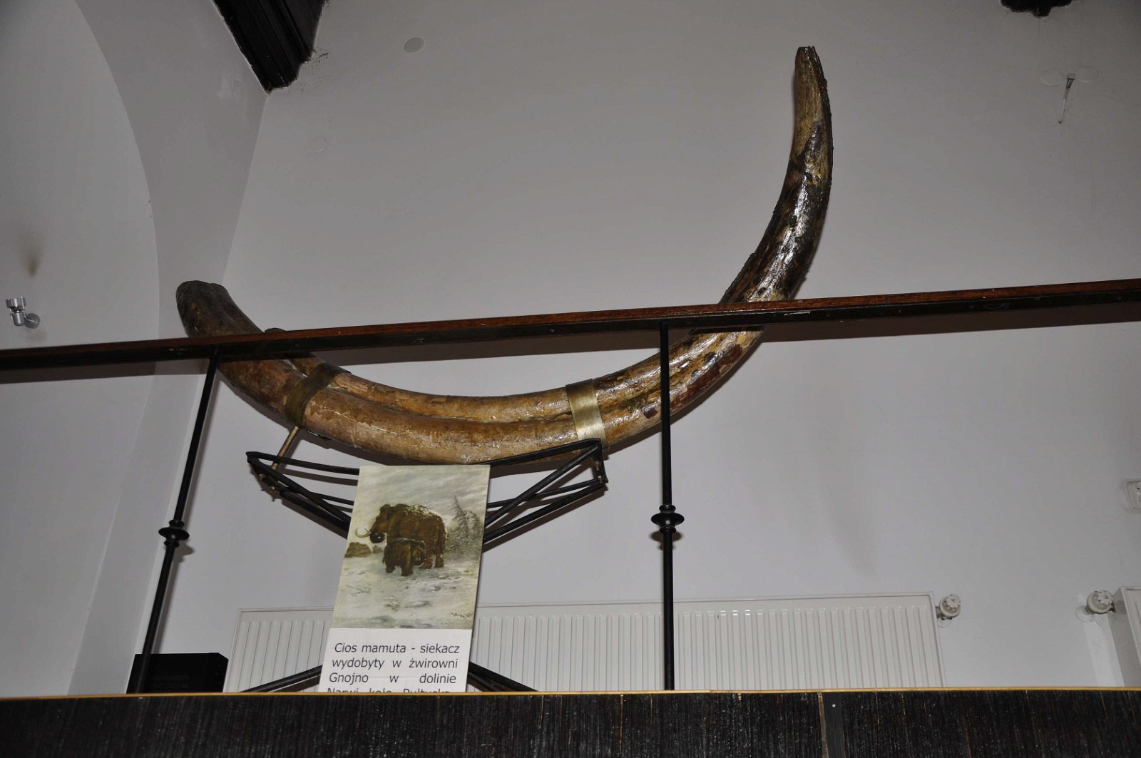 Earth Museum - Polish Academy of Sciences