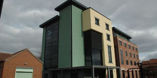 Laura Ellen Bacon: Rooted in Instinct