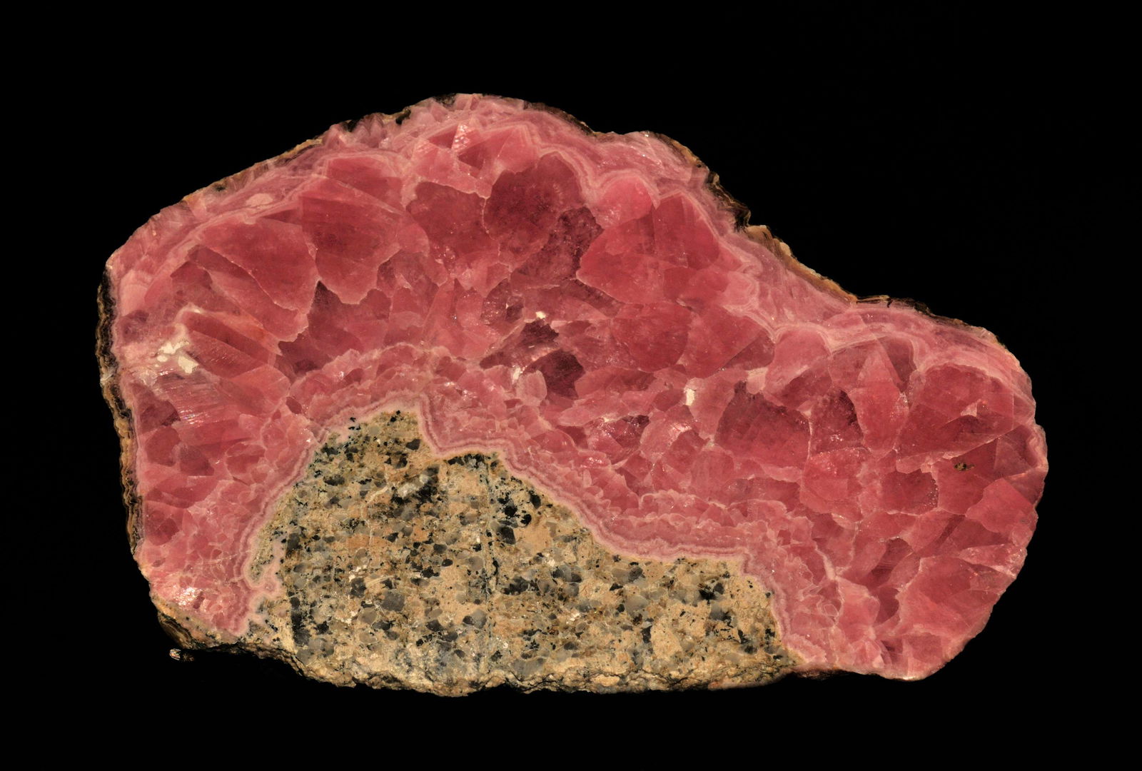 Lower Saxony State Museum (Niedersachsisches Landesmuseum)