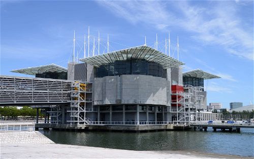 Lisbon Oceanarium