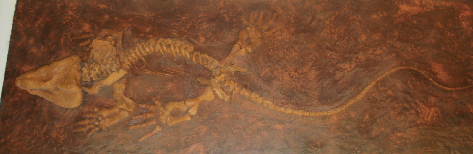 Civico Museo di Storia Naturale