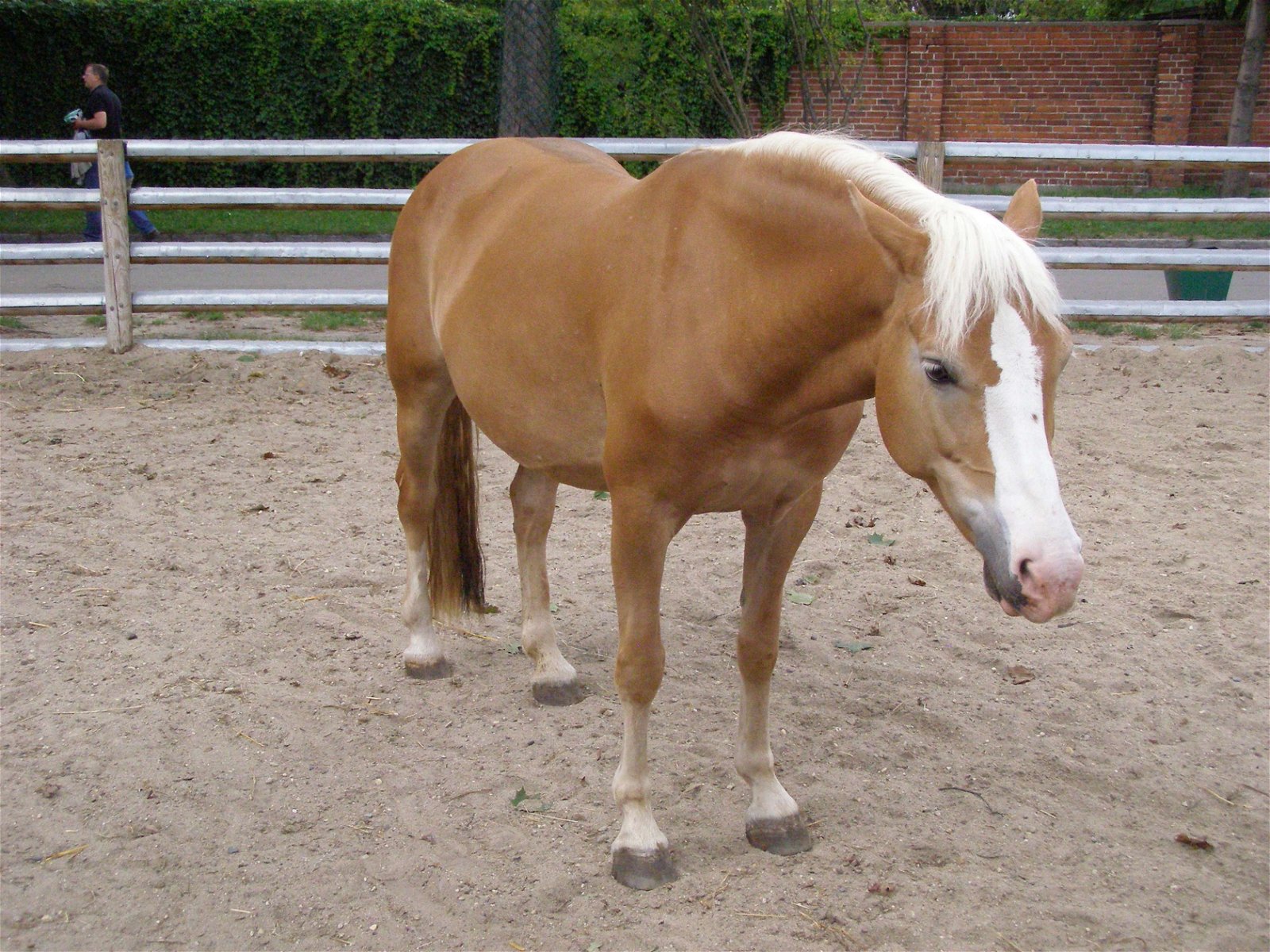 Wroclaw Zoo & Africarium