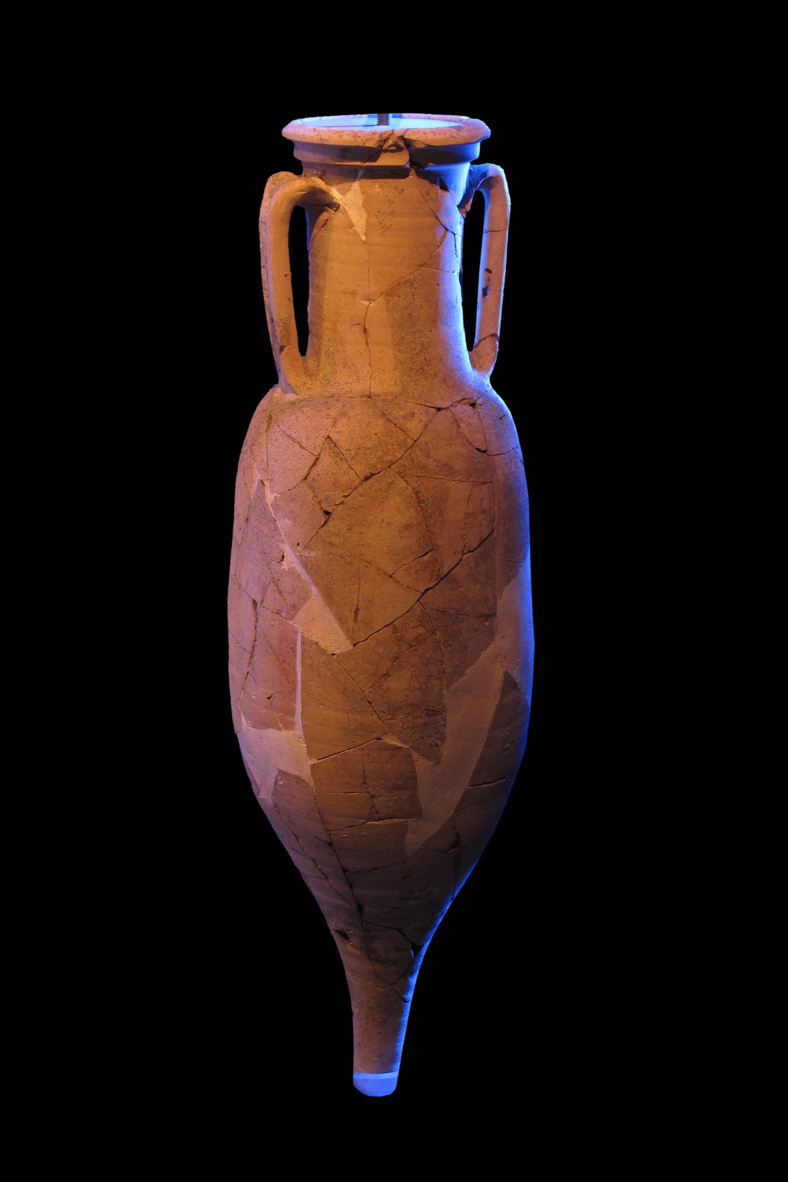 Musée des Docks Romains