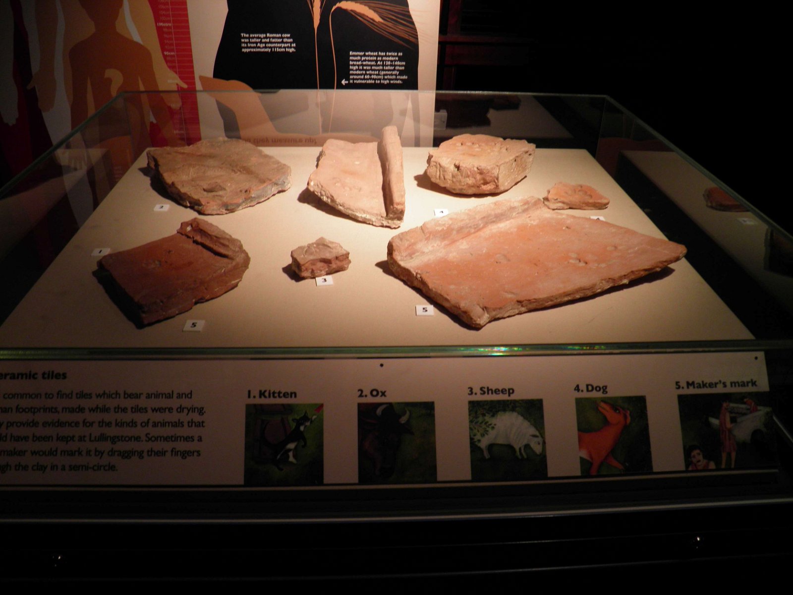 Lullingstone Roman Villa