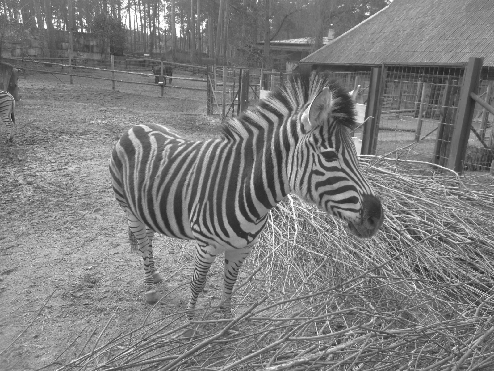 Riga Zoo