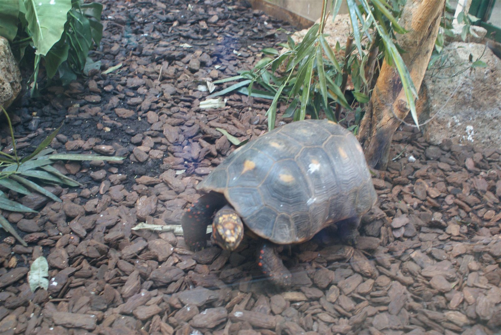 Tropicarium - Oceanarium