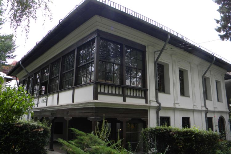 Theodor Pallady Museum