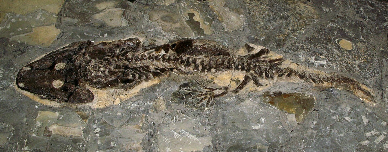 Mineralien-Museum Essen-Kupferdreh